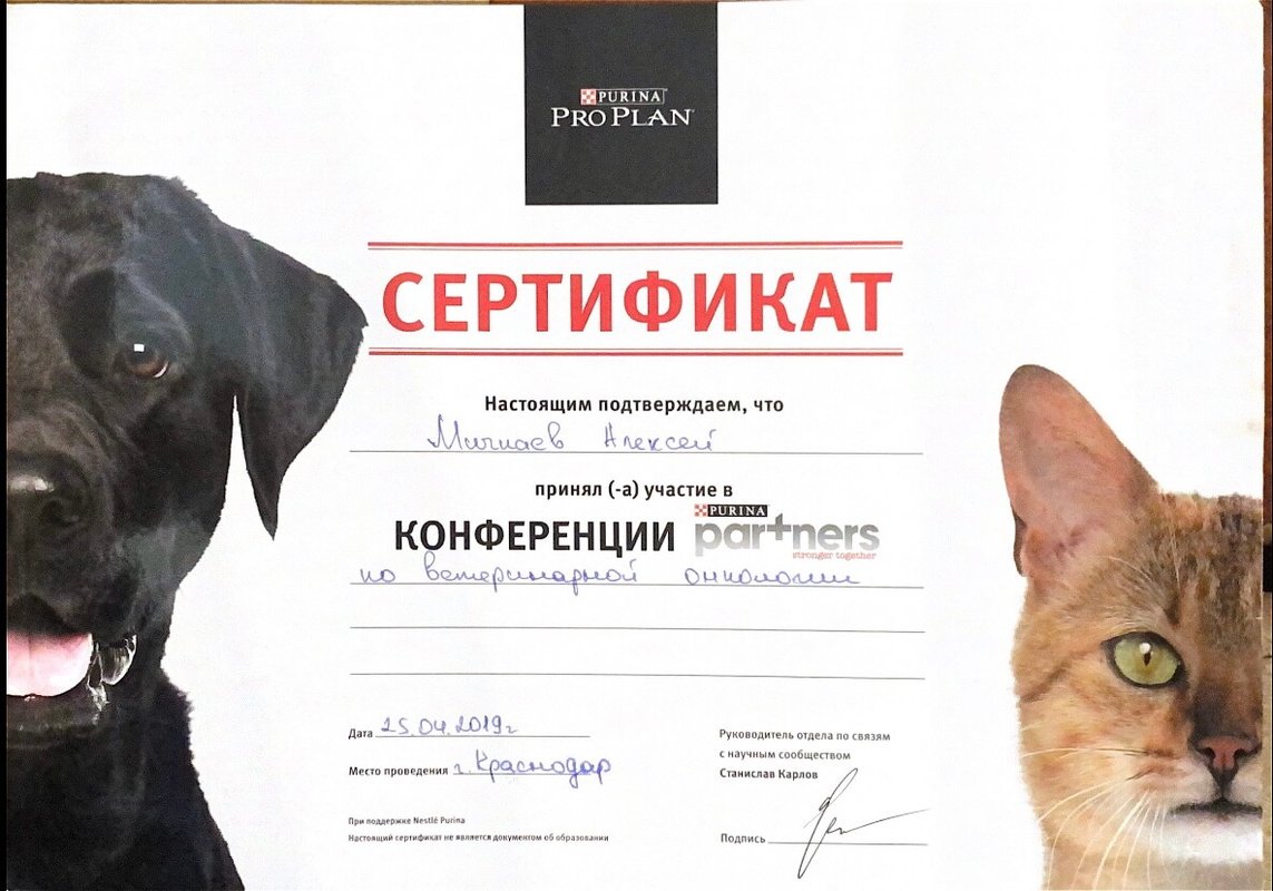 Документ или сертификат