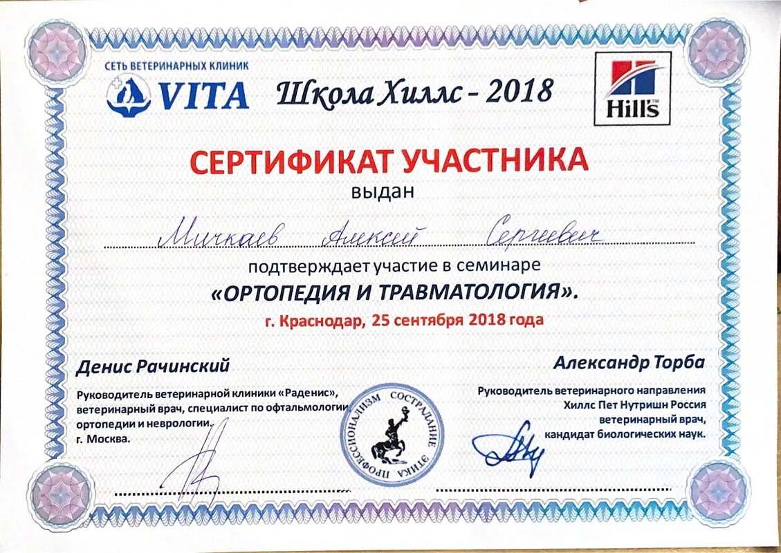 Документ или сертификат