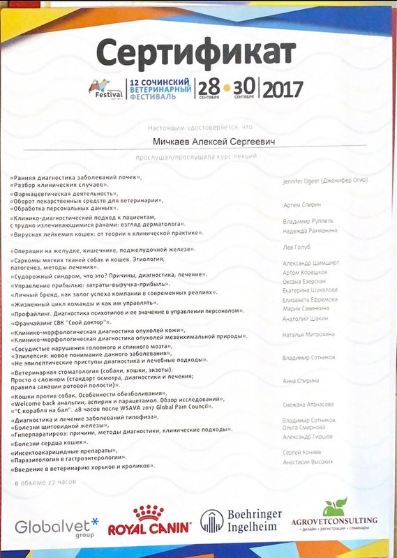 Документ или сертификат