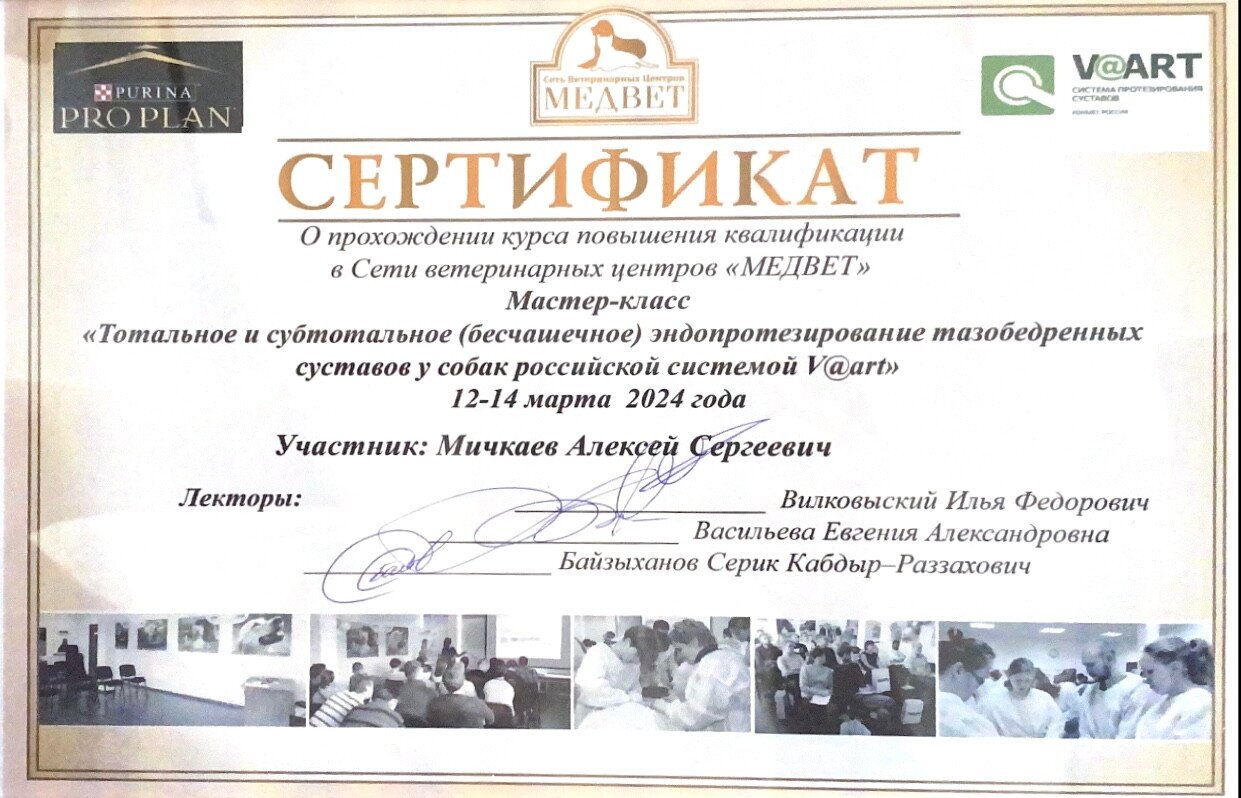 Документ или сертификат