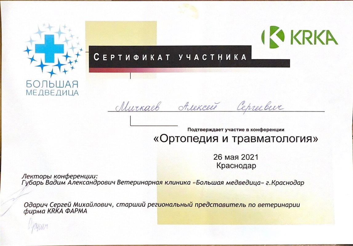Документ или сертификат