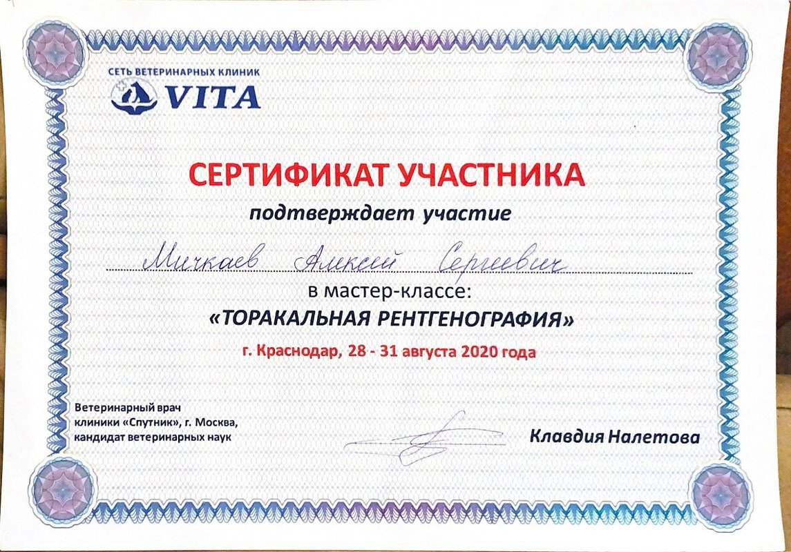 Документ или сертификат