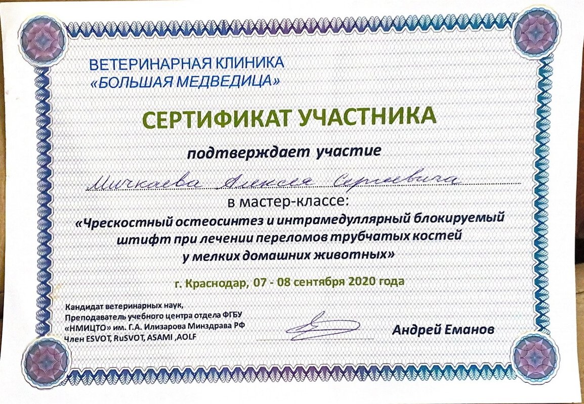 Документ или сертификат