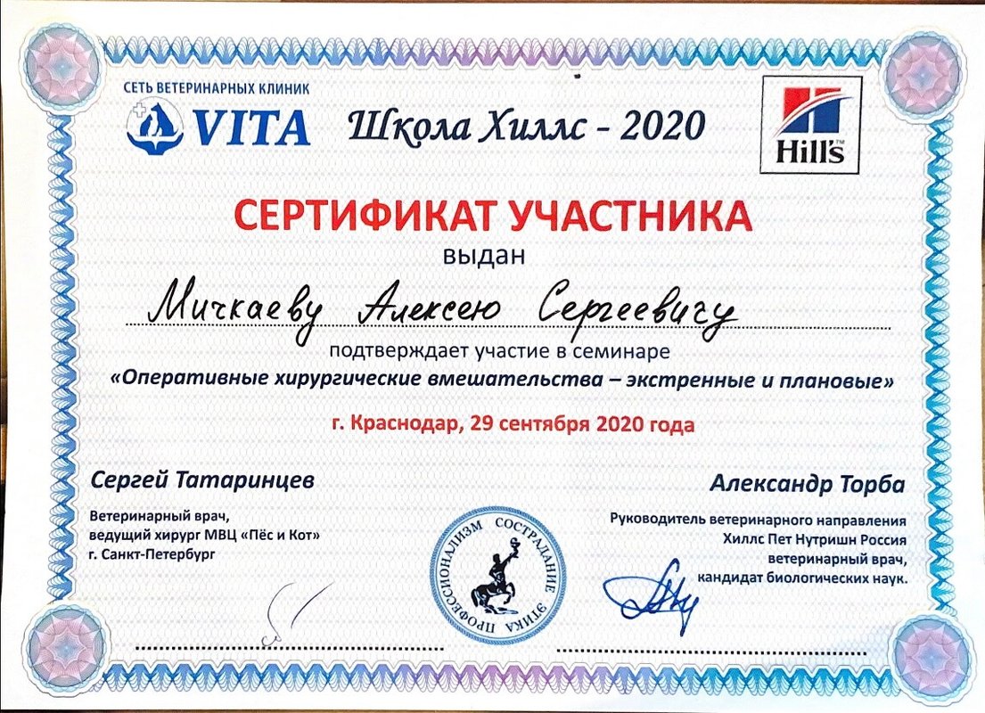Документ или сертификат