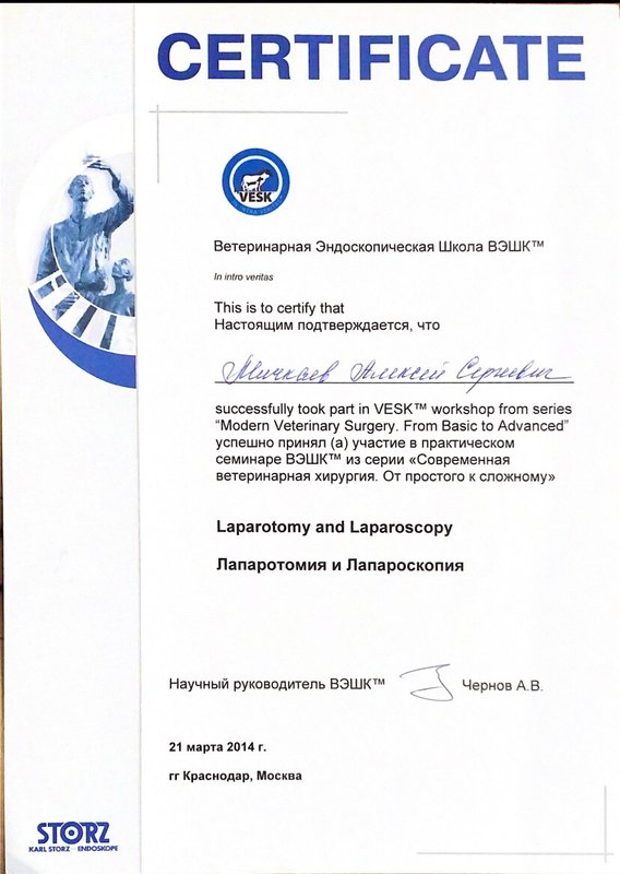Документ или сертификат