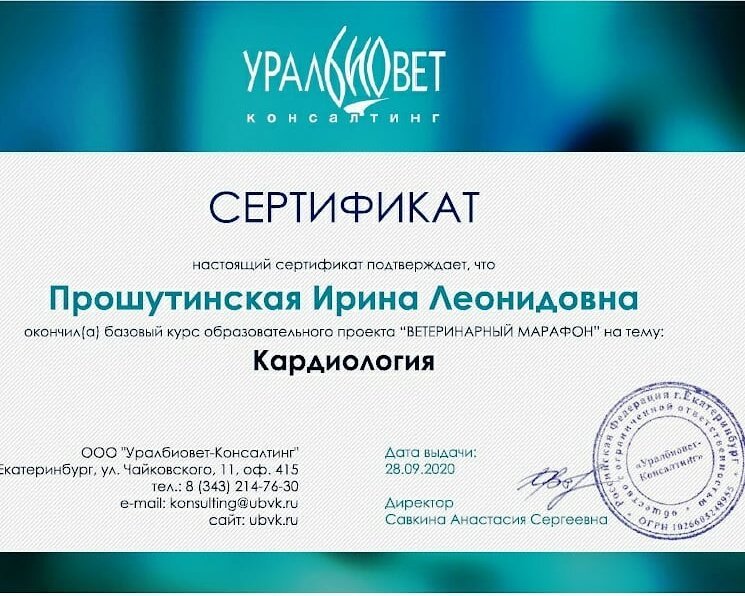 Документ или сертификат