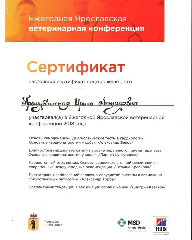 Документ или сертификат