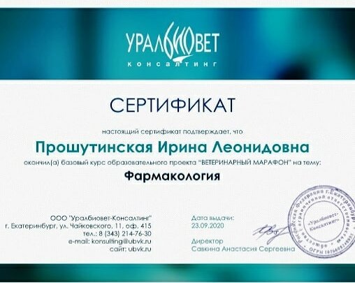 Документ или сертификат
