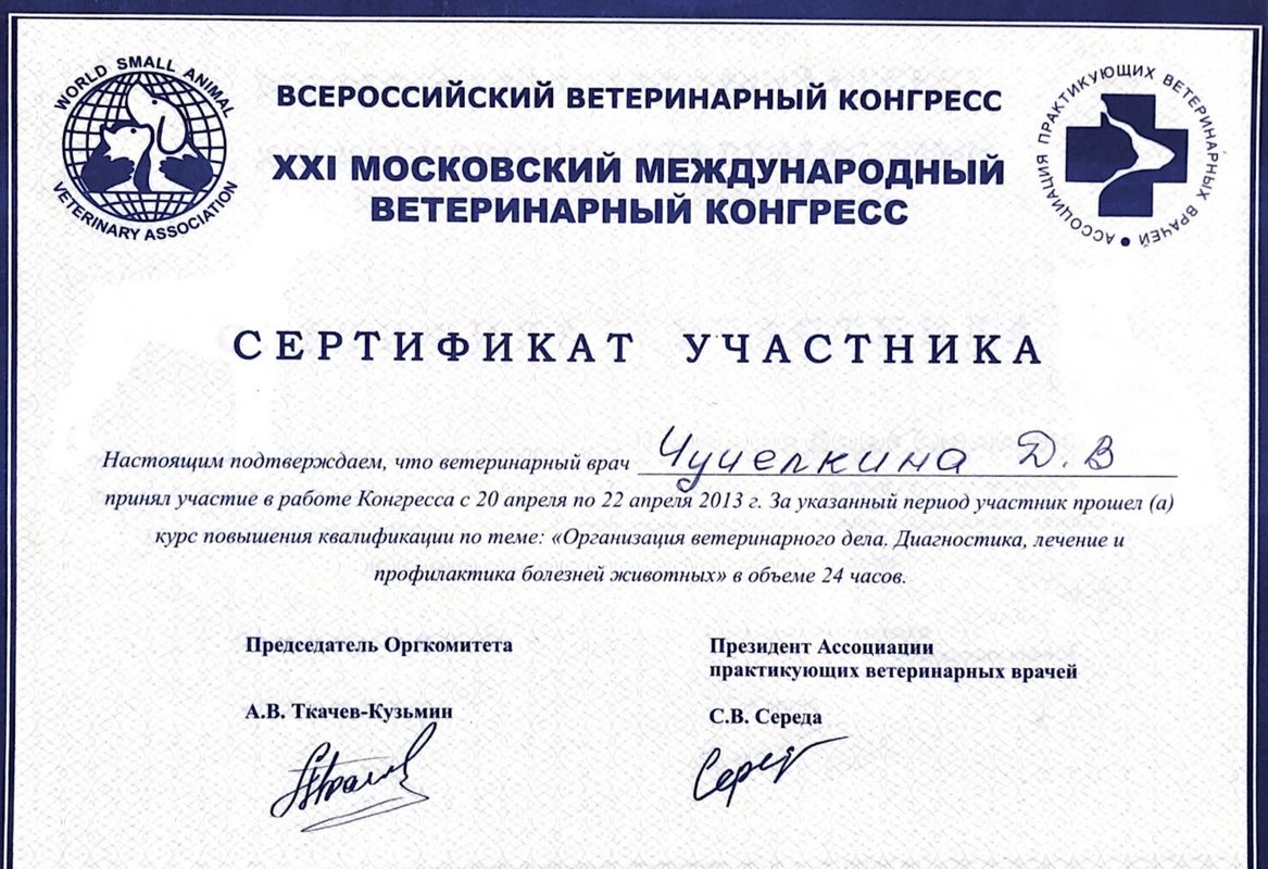 Документ или сертификат