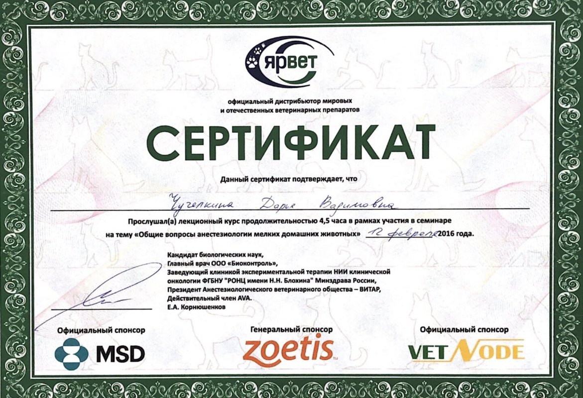 Документ или сертификат