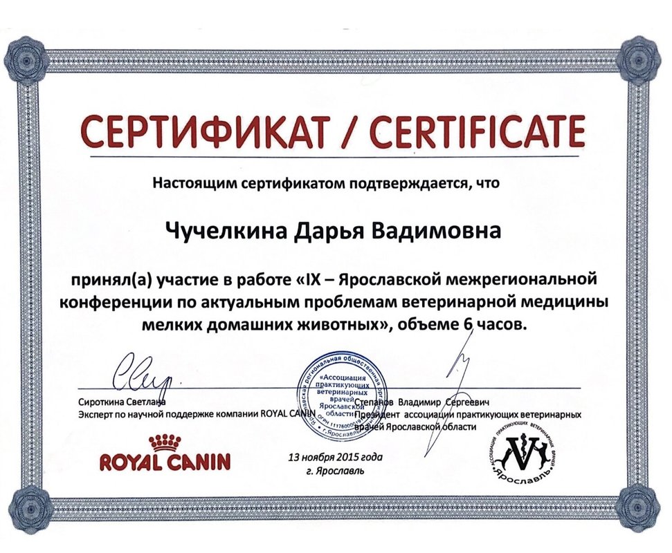 Документ или сертификат