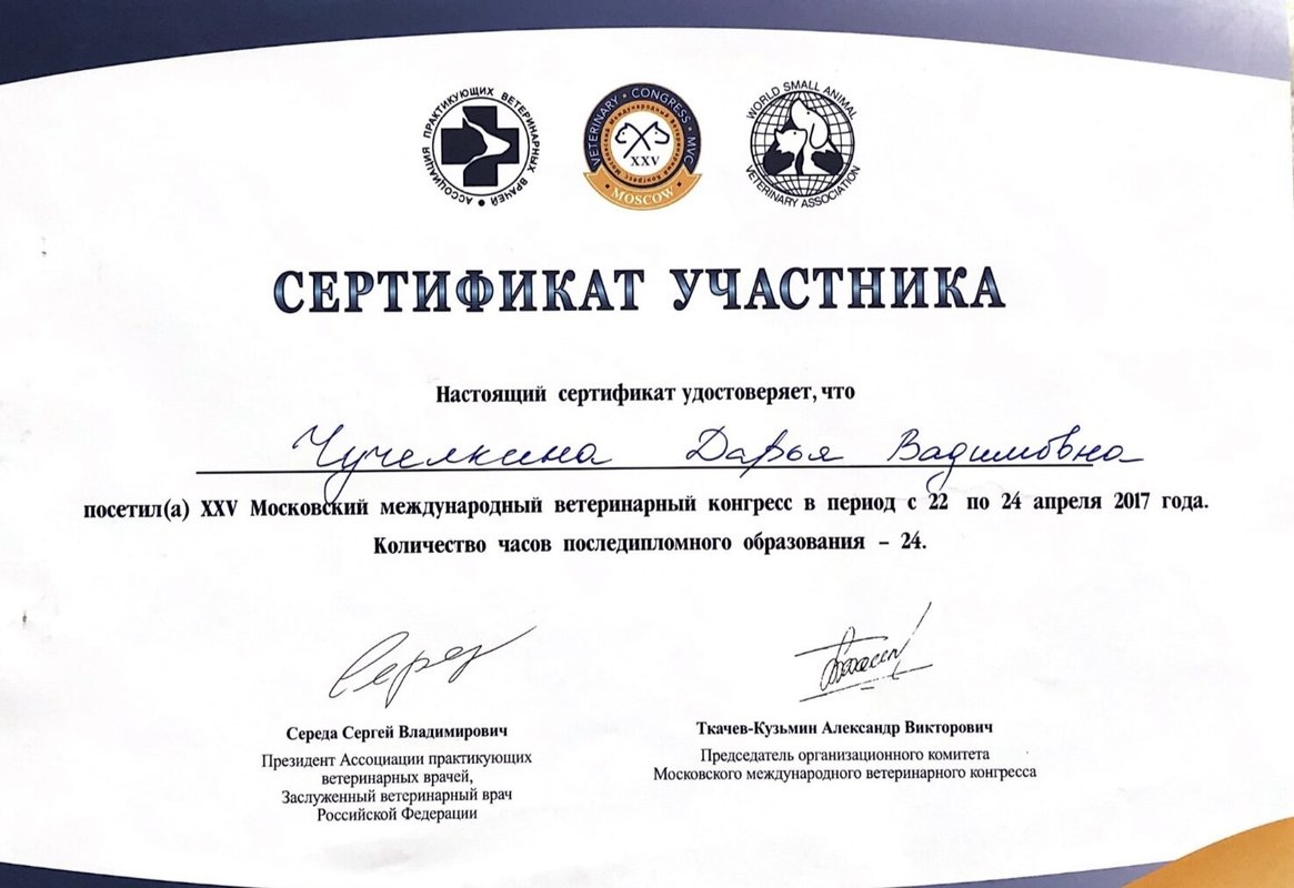 Документ или сертификат