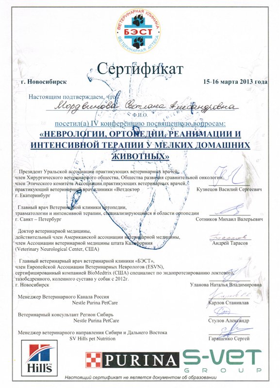 Документ или сертификат