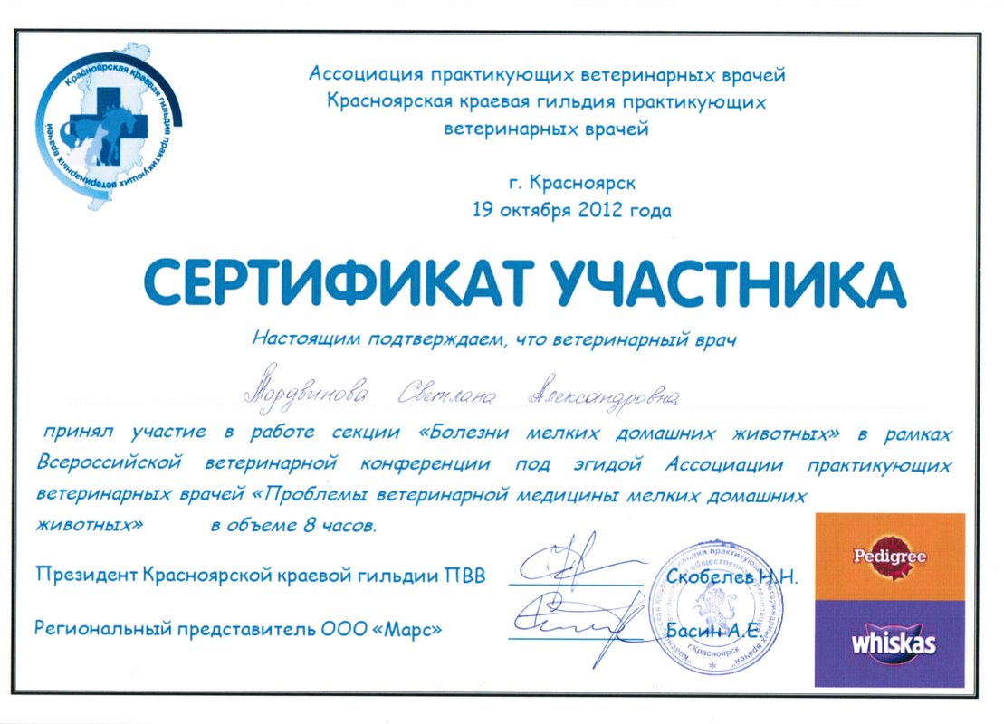 Документ или сертификат