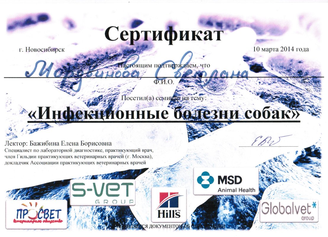 Документ или сертификат