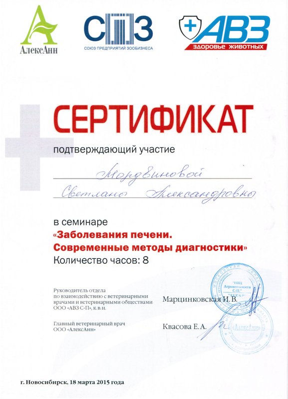 Документ или сертификат