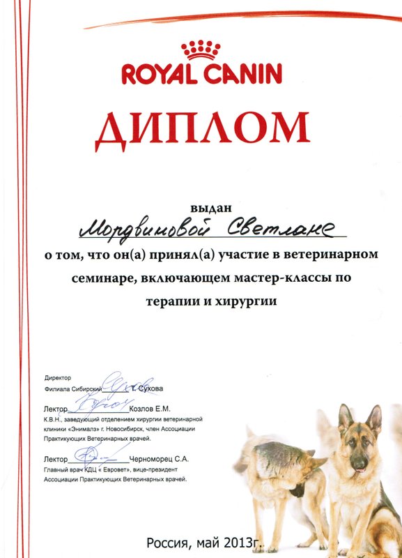 Документ или сертификат