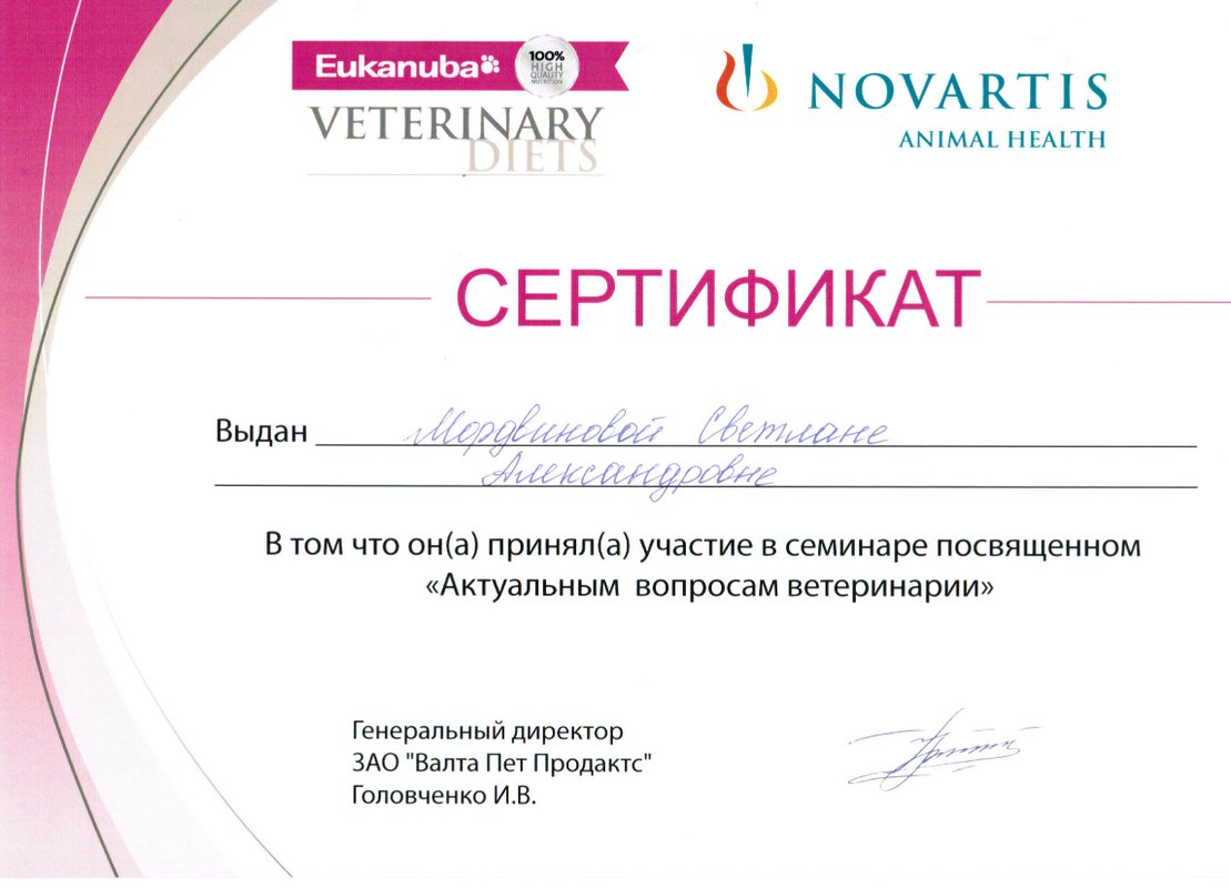 Документ или сертификат