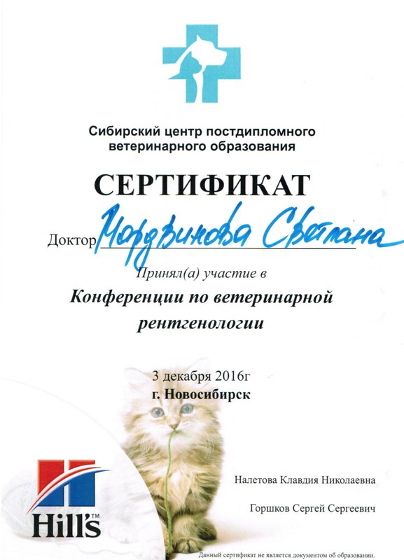 Документ или сертификат