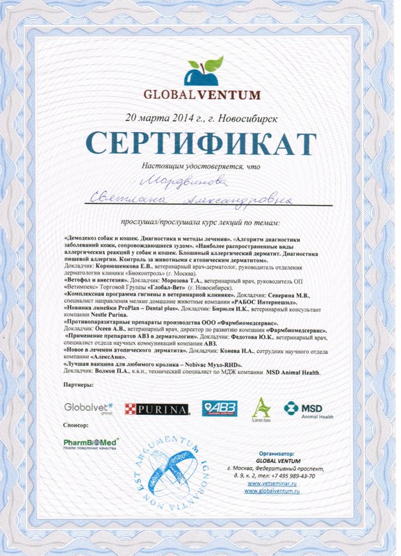 Документ или сертификат