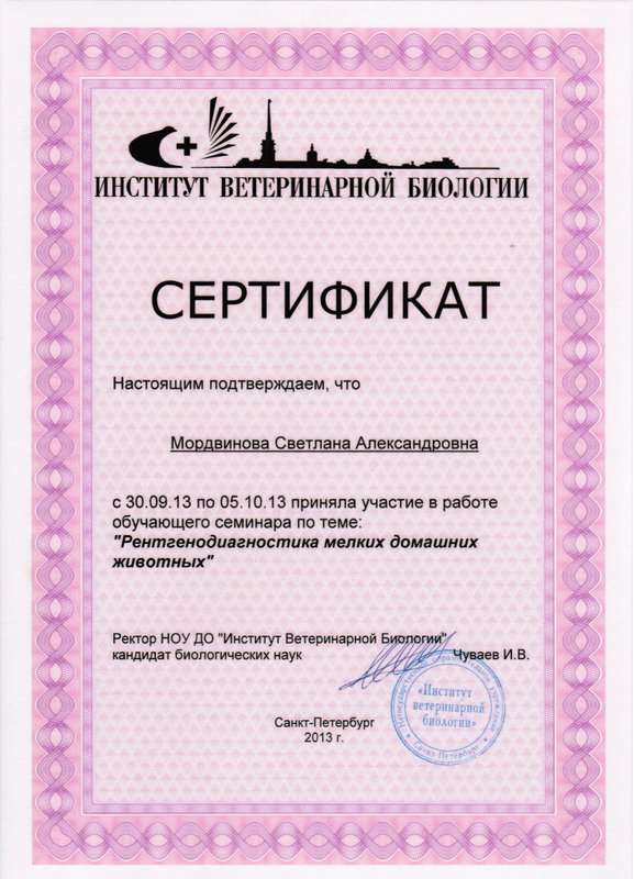 Документ или сертификат
