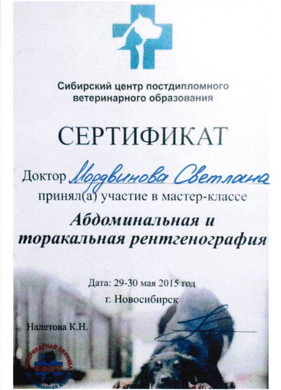Документ или сертификат