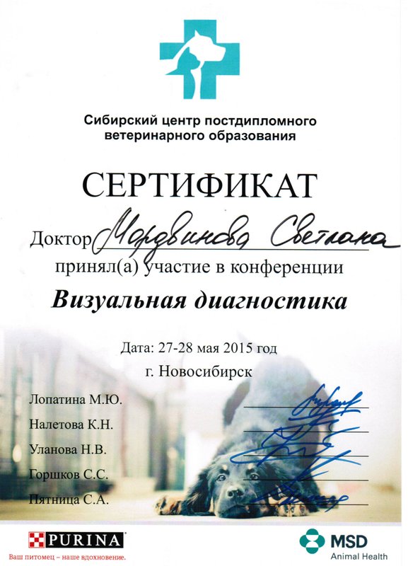 Документ или сертификат