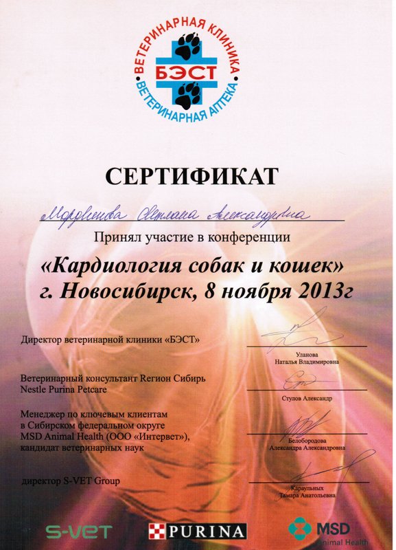 Документ или сертификат