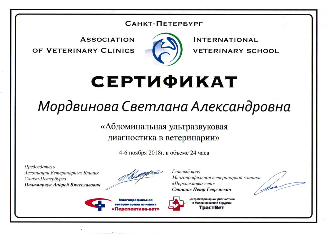 Документ или сертификат