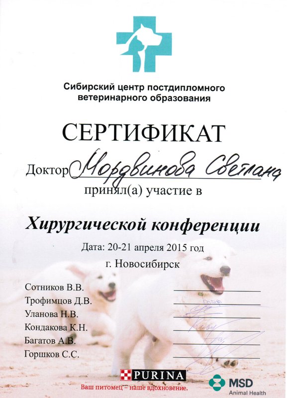 Документ или сертификат