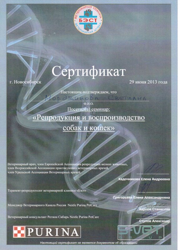 Документ или сертификат