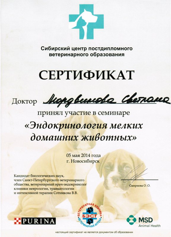 Документ или сертификат
