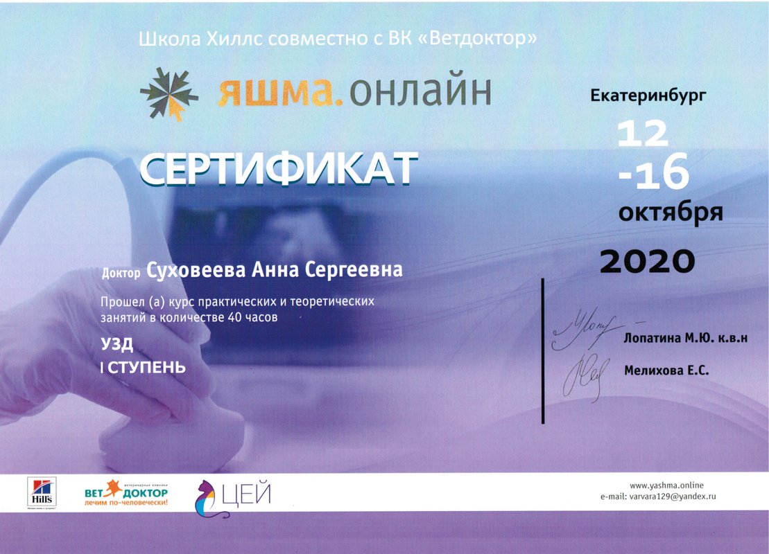 Документ или сертификат