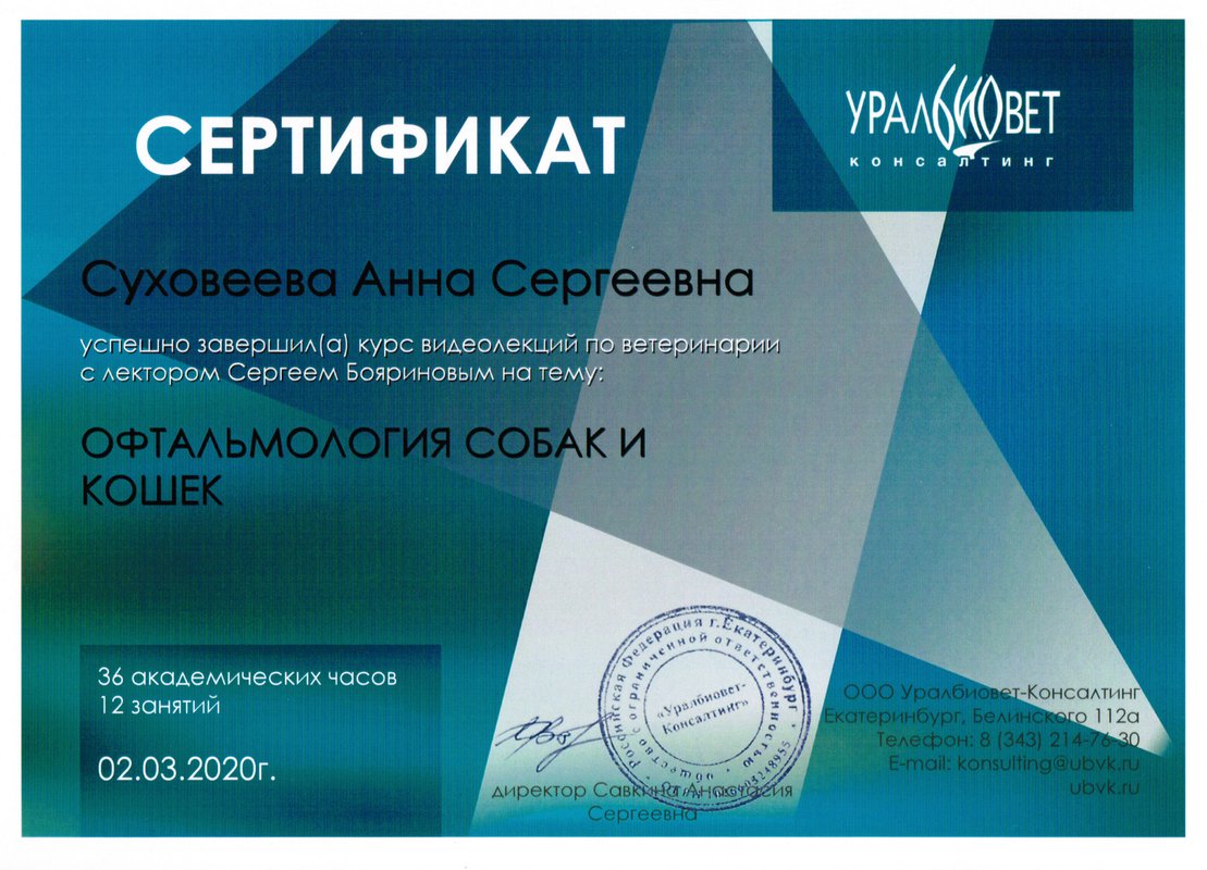 Документ или сертификат