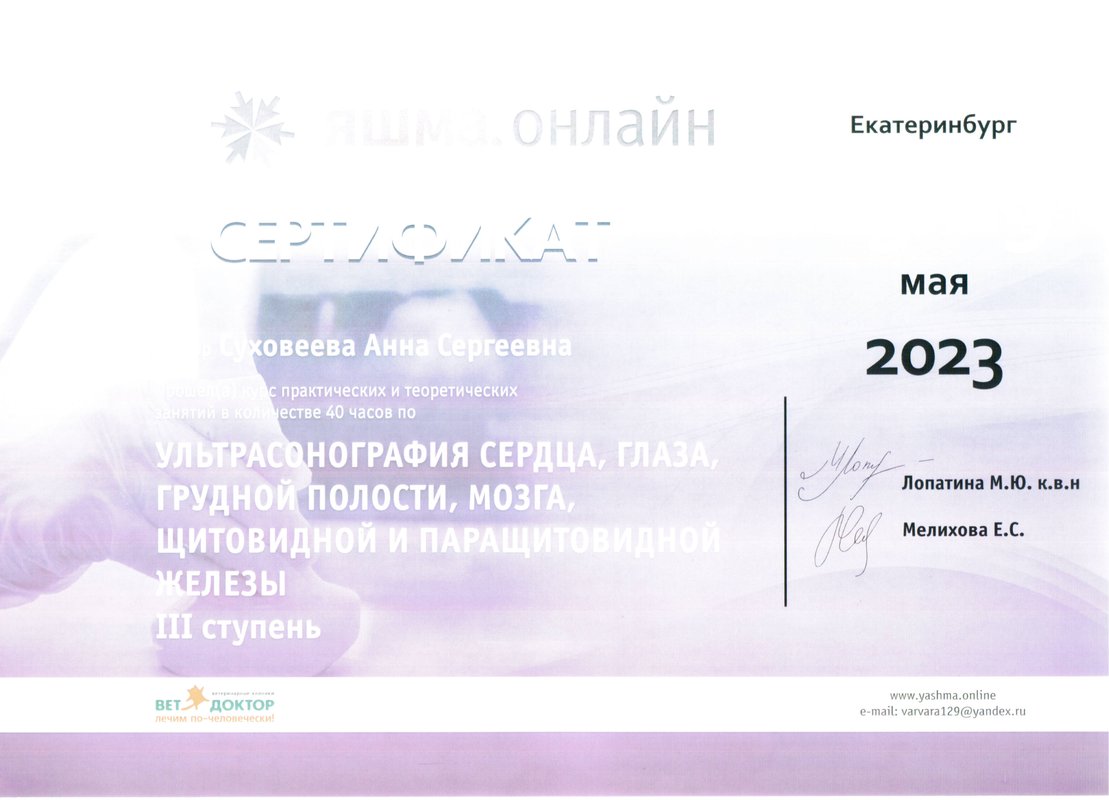Документ или сертификат