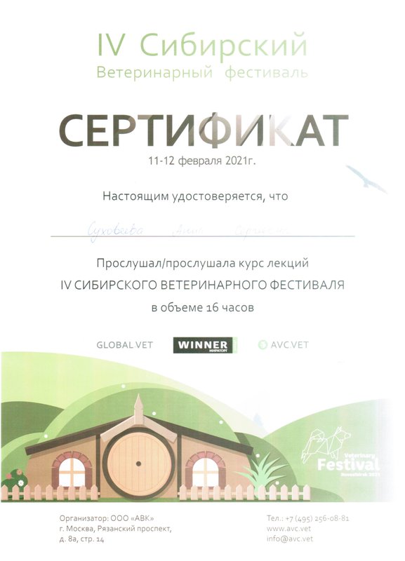 Документ или сертификат