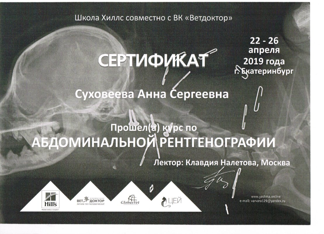 Документ или сертификат