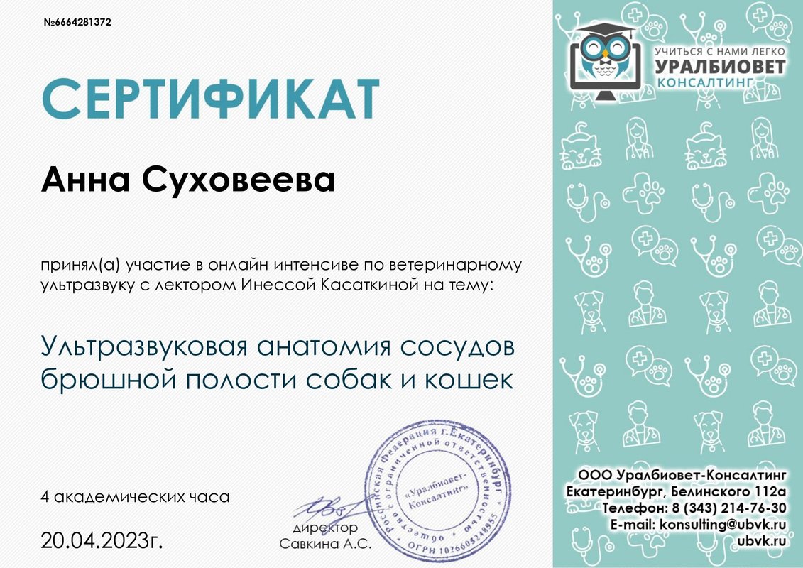 Документ или сертификат