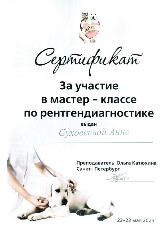 Документ или сертификат