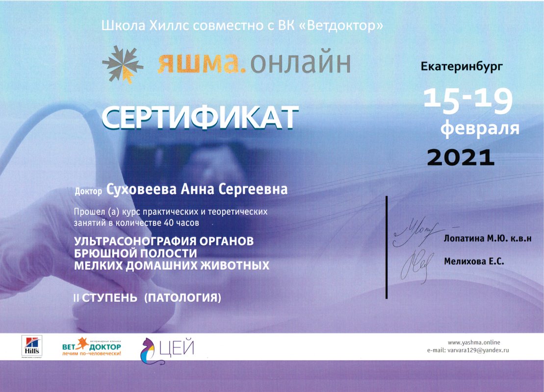 Документ или сертификат