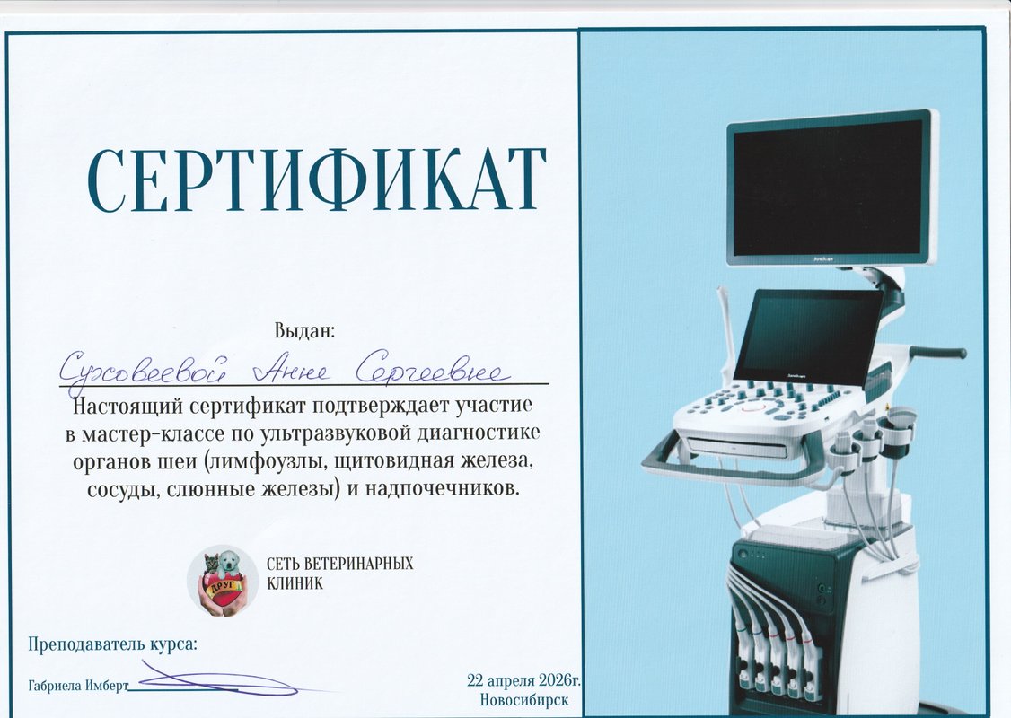 Документ или сертификат