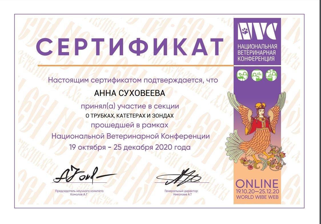 Документ или сертификат