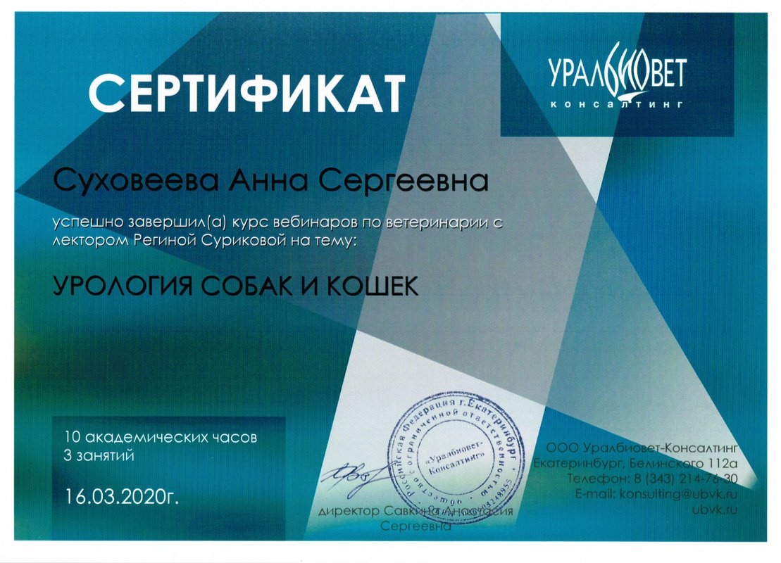 Документ или сертификат