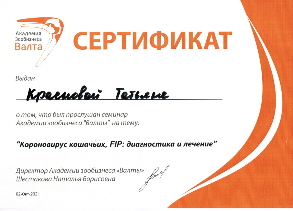 Документ или сертификат