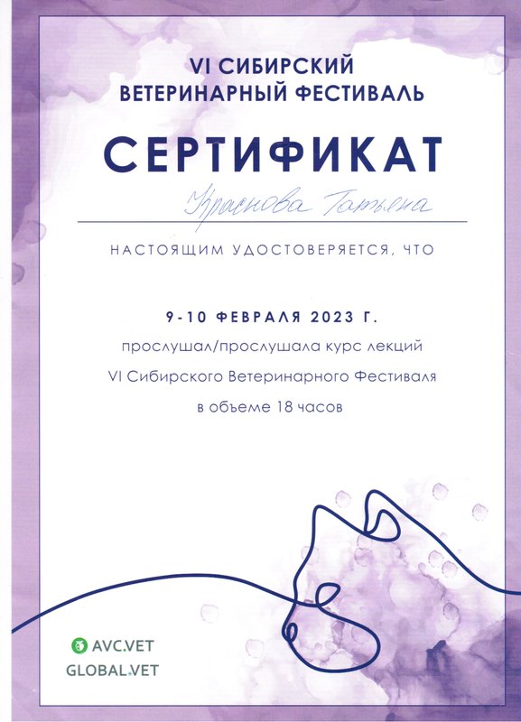 Документ или сертификат