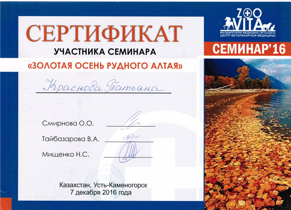 Документ или сертификат