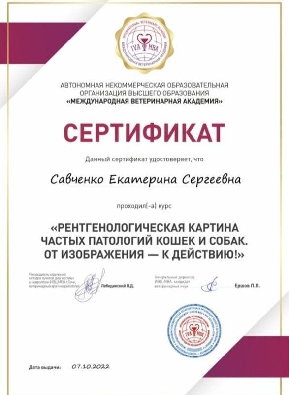 Документ или сертификат