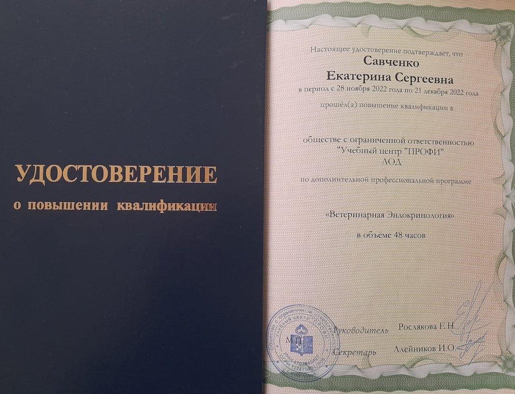 Документ или сертификат