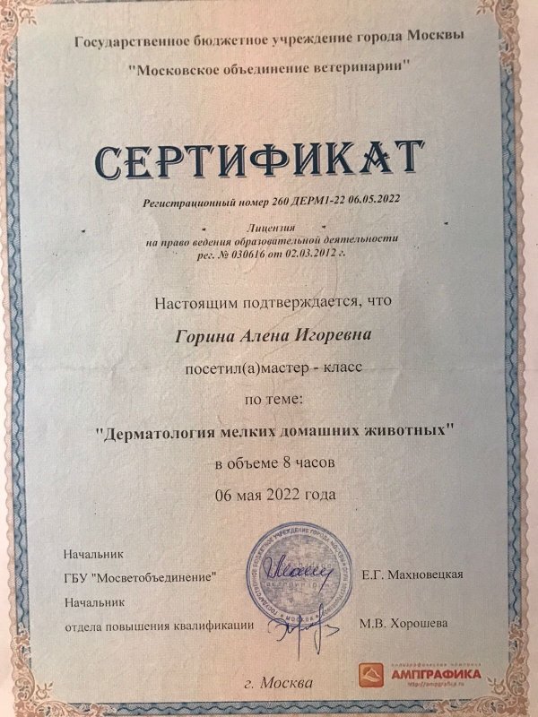 Документ или сертификат