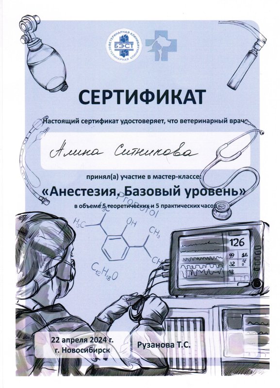 Документ или сертификат